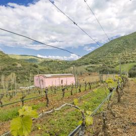 Podere Is Tres Fradis