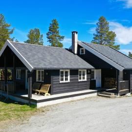 Dream cabin by Geilo, ski-in ski-out with room for the whole family, hotel em Geilo