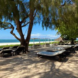 Galu Ecolodge - Diani Beach, viešbutis mieste Diani Bičas