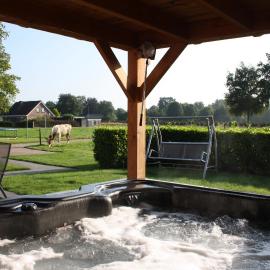 Wellnesshuisje Boerenzwaluw, hotell i Emst