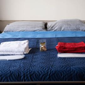 Maison Turin Airport, hotel in Caselle Torinese