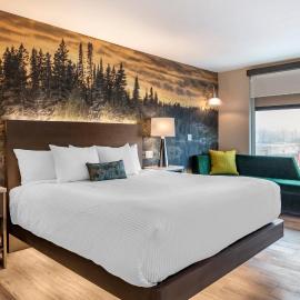 Cambria Hotel Shelby Township - Detroit Utica, hotel en Shelby