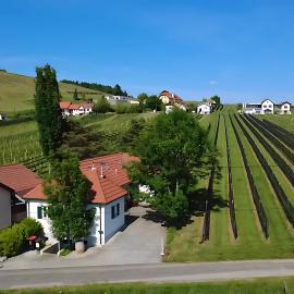 Kellerstöckl - Zur Weinreibe 1, hotel in Eisenberg an der Pinka
