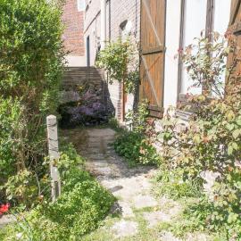 Renard - confort et cosy
