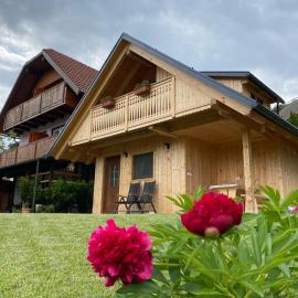Princess Mojca Holiday House, hotel na Bledu