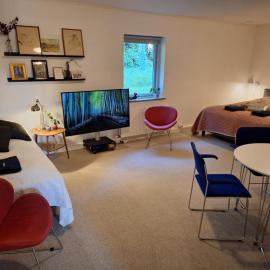 Stort og dejligt værelse med privat bad, hotel a Hornsyld