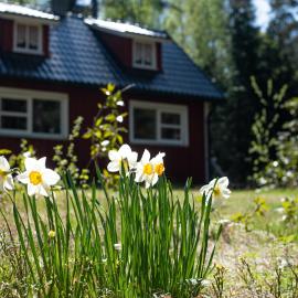 Forest Outdoor 'Plan Torpet' Cabin