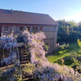 Dreigärten Brodowin, hotel in Brodowin