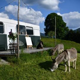 Tiny House Feeling mit Weitblick, hotel em Irdning