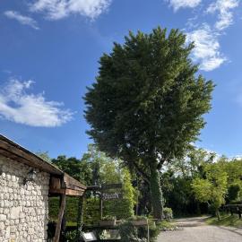 Agriturismo al Ranch