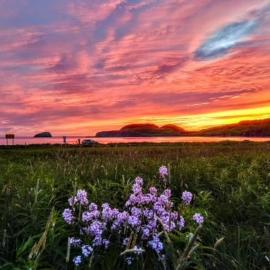 Red Sunset Cottage in Twillingate, hotelli kohteessa Twillingate