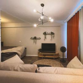 Apartment in the middle of the city and free parking spot