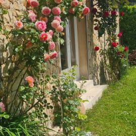 Petit gite de Provence