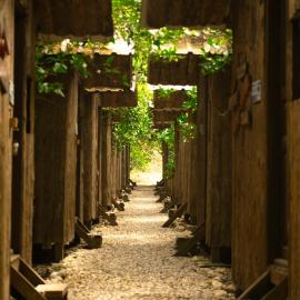 Olympos Yakamoz Pansiyon, hotel in Olympos