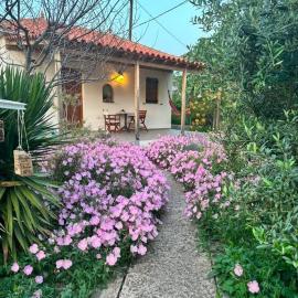 Hakuna Matata, hotel v destinaci Skala Eresou