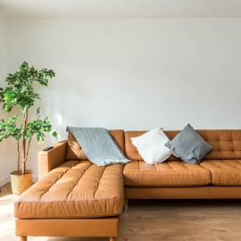 Sleek and Stylish 2BD Home with a Garden Anerley