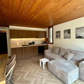 T3 appart 50 metres des pistes, hotel in La Salle-les-Alpes
