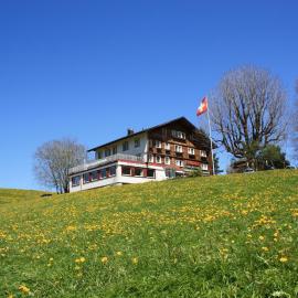 Hotel Frohe Aussicht – hotel w mieście Weissbad