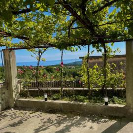 Villa Jolanda