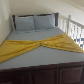 Chrisanns beach resort oceanfront view property – hotel w mieście Jamaica