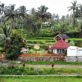kunang kunang, hotel i Tetebatu