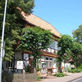 Apartment Brauner Hirsch, Hotel in Celle