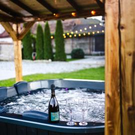 Casa de Vacanta Diana Turnu Rosu – hotel w mieście Turnu Roşu