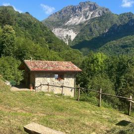 Chalet il Nocciolo
