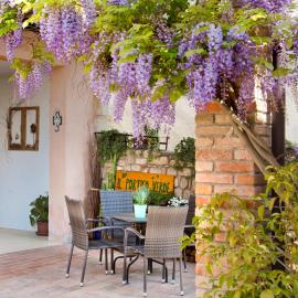 IL PORTICO VERDE