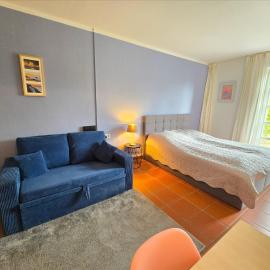 Feriendorf Rugana - Klassik 1-Raum Ferienwohnung mit Terrasse A36, hôtel à Dranske