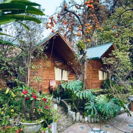 Nobita Homestay bắc hà, viešbutis mieste Bac Ha