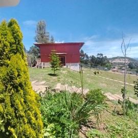Estancia El Tayo - Casa de campo Cajamarca - ideal para reuniones cumpleaños parilla y mas