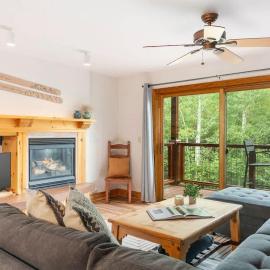 Vibrant Spacious Ski Pad Hot Tubs, Hotel in Driggs
