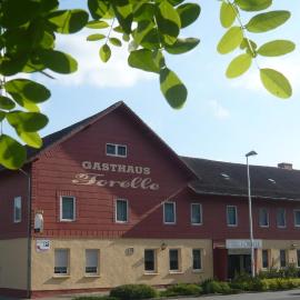 Gasthaus Forelle, hotel a Thale