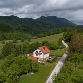 Deer Land Photo Apartment