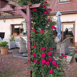 Chambre D'hotes Le Clos Fleuri, hotel a Criel-sur-Mer