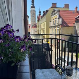 Apartament Vikicentrum
