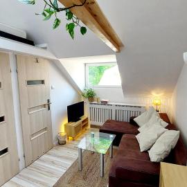 Mini-apartament EKOS