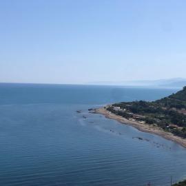 NFACCI o MARI