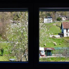 salvia, hotel a Arta Terme