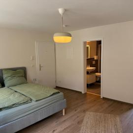 Ferienapartment im Zentrum komfortabel und praktisch, hotel a Geisenheim