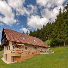 Sunflower House with Jacuzzy and Sauna, hotelli kohteessa Vitanje