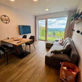 Apartmány nora - Příchovice, hotel in Kořenov