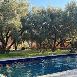 Villa Zaïtoun, Hotel in Aït Ourir
