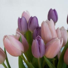 Nodaris guesthous
