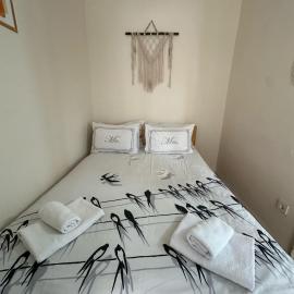 Hostel Nelly
