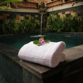 Natha Ubud Villa