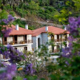 Aeriko Guest House, Hotel in Stemnitsa