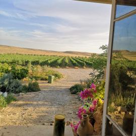 כרם שיזף, Hotel in Mitzpe Ramon