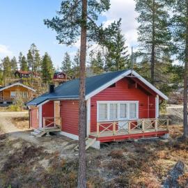 Sauna | Engine heater | Wood stove | TV, hotel in Lofsdalen
